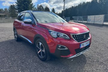 panorama, skóra, automat, bezwypadkowy